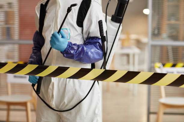 Professional Sewage Cleanup technician working in Ashley, OH